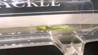 Wigglefin Action Disc