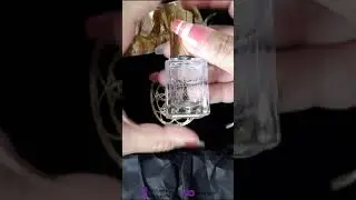 Short Version: 💜 Unboxing new lacquer line: DLXpress!! 💅🏼 || Dharma Lacquer PR