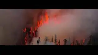STARS - (official music video) - SEVAS - (prod. sogimura)