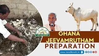 Ghana Jeevamrutham
