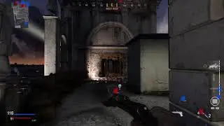 COD Vanguard Beta Kar98k Dogs