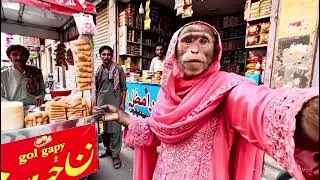 Lahore Mein Ghoomti Hui Bandri 😱 | Pakistan Ka Pehla Monkey Vlog