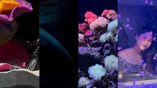 Juna - New Seoul York (Официальное видео)