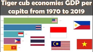 Tiger cub economies GDP per capita from 1970 to 2019 animation