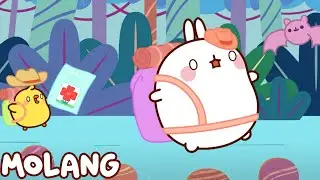 Molang and Piu Piu Cartoons | The Jungle Friend | Funny Cartoons | Hooplakidz Tv