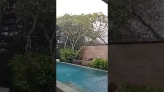 ᭚ᬳᬸᬚᬦ᭄&zwnj;ᬩ᭒ᬲ᭄&zwnj;᭟ (Ujan Bales) Hujan deras - Heavy rain 23