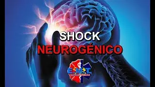 ¿Qué es el Shock Neurogénico?  - 24 Febrero | EMT Capacitación