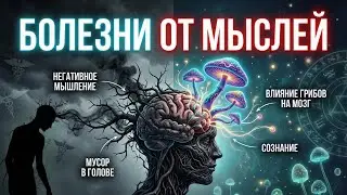 Болезни от мыслей: как психика влияет на здоровье. Как грибы влияют на мозг и сознание.