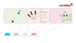 Aquarray Drug Discovery