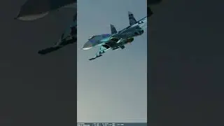 DCS Su-27 #dcsworld #dcsshorts #su27