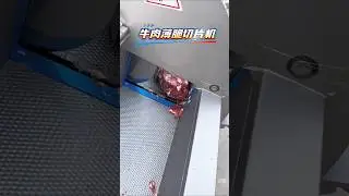 Frozen Meat Chopping Machine #Slicing Machine #Zhengou Chopping Machine #Meat Processing Equipment