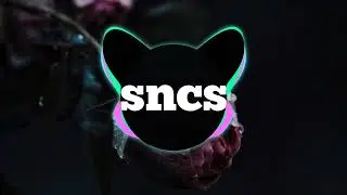Waldo Hadro & Waeru - (sncs song release)