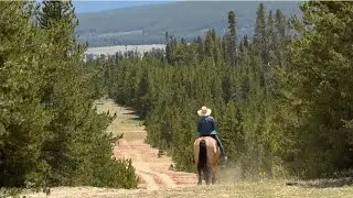 Laverne runs circles around Roxy / Let&rsquo;s go explore around camp / Colorado Camping / Nomad Life