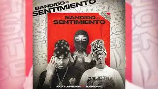 BANDIDO EN SENTIMIENTO - Coronao ❌ Joday La Prexion ( Audio Oficial )