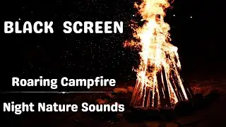 FIRE Roaring Campfire With  Night Nature Sounds And Water Splashing - Black Screen ★67