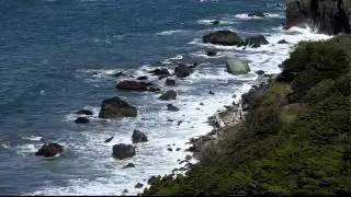 SF Lands End MVI 4300