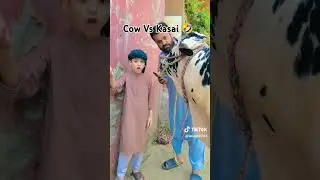 |😂🤣tu Hai Kaun cow Vs Kasai video| very funny video|YouTube short video|