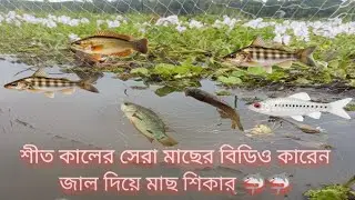 জাল দিয়ে মাথা নষ্ট করা মাছ ধরা |শীত কালের সেরা মাছের বিডিও কারেন জাল দিয়ে মাছ শিকার 🦈|