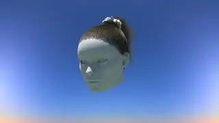 Houdini Hair rig development and simulation