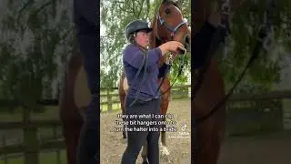 How Too Guide on Bit Hangers