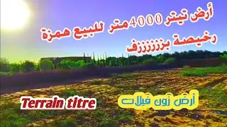 أرض تيتر للبيع همزة رخيصة طريق سيدي رحال مراكش 0605668188