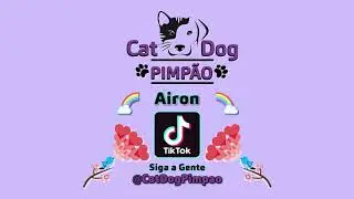 🎬 TikTok Airon 😻 Cat Dog Pimp&atilde;o 🐶