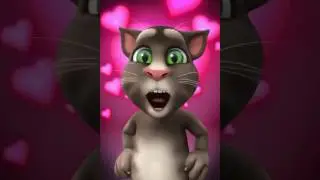 El gatito