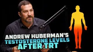 Andrew Huberman's Testosterone Levels After TRT & Ideal Free Testosterone Levels