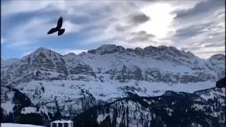 Snowboarding Highlight 2019