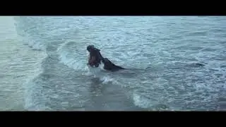 Jumping into England-The Eagle Has Landed