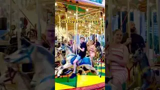 Carousel🎠🎠Sydney #gallopinghorse #amusement #entertainment #enjoy #fun #funandfrolic #carousel #yt