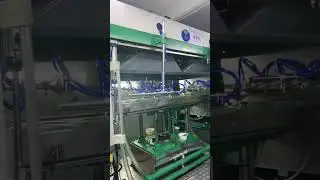 PET Thermoforming Trays Production Process: Custom Manufacturing Services