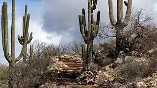 Catalina State Park - Sutherland trail