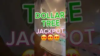 @dollartree for the WIN! 😍🙌🏼 #shopping #dollartreeshopping #dollartreehaul #dollartreehauls #haul