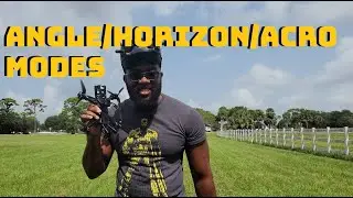 Lumenier QAV-R 2 Deadcat - Angle vs Acro vs Horizon Modes