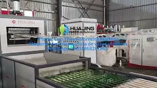 Plastic Cup Thermoforming Machine-M&aacute;quina termoformadora de vasos de pl&aacute;stico