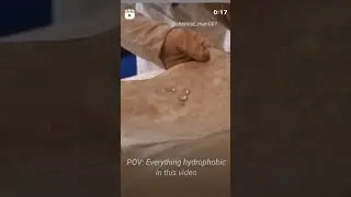 Hydrophobic💦🤔🙌|#shorts |#ytshorts |#shortsfeed |#youtubevideos