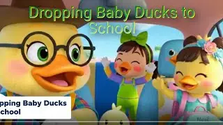 English | Dropping Baby Ducks to School