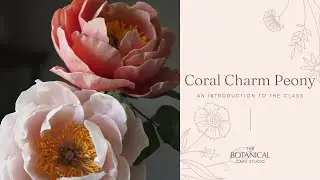 Coral Charm Peony Sugar Flower Tutorial (Gumpaste / Flower Paste): An Introduction to the Class