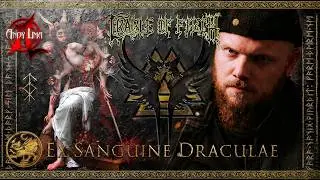 Cradle of Filth - Ex Sanguine Draculae guitar