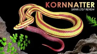 Safari Ltd. ® Kornnatter / Corn Snake - Pantherophis guttatus - Incredible Creatures Schlange Review