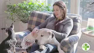 HEMPVET Advanced Nutraceuticals &mdash; CBD+ Hemp-Based Pet Health Remedies