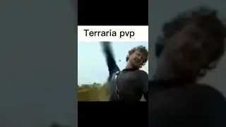 La realidad del #pvp  #memes #terraria #meme