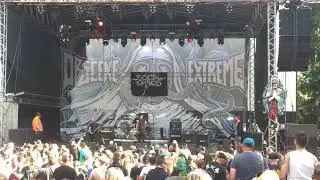 Social Chaos (live at Obscene Extreme 2022)