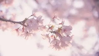 Arabesque Choche - Happy Ending
