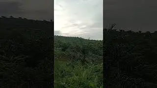 alam yang penuh dengan sejuta keindahan..semoga yang nonton like momen dan subscribe seja sll.