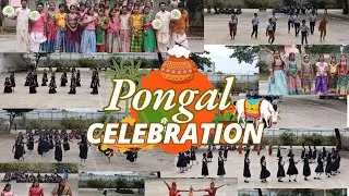 SCISM PONGAL CELEBRATION 2026