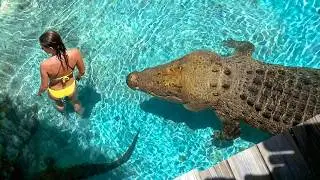 Terrifying Crocodile Encounters Caught on Camera