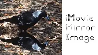 How To Create a Mirror Image / Flip Video Effect in iMovie! | Easy Tutorial