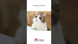 8V Exchange - The Most Secure Exchange
